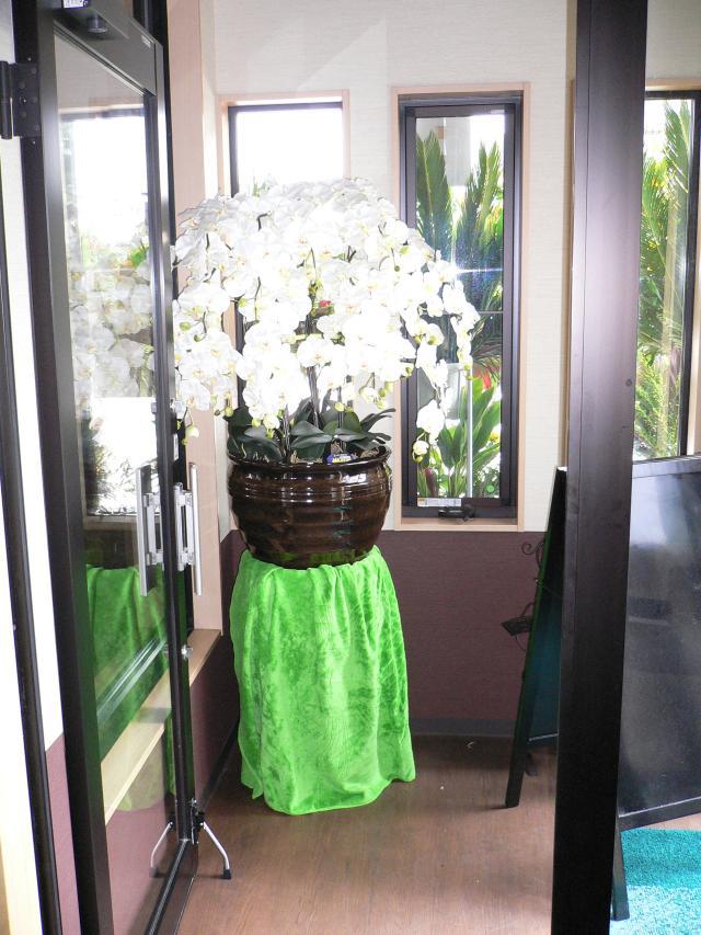 群馬館林　店舗改装　玄関